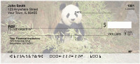 Panda Bears Personal Checks | ANI-11