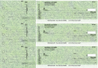 Grassy Invoice Business Checks | BU3-CDS17-INV