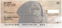 Black Labradors Personal Checks | DOG-11