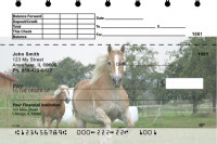 Horses Top Stub Checks | TSANI-02